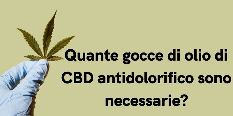 Quante gocce di olio di CBD antidolorifico sono necessarie?