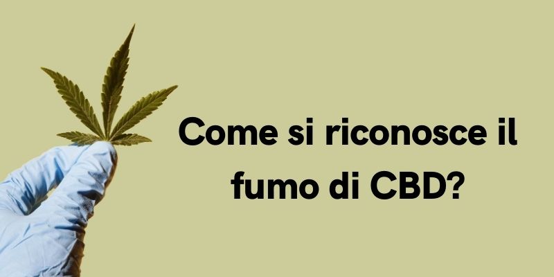 Come si riconosce il fumo di CBD?