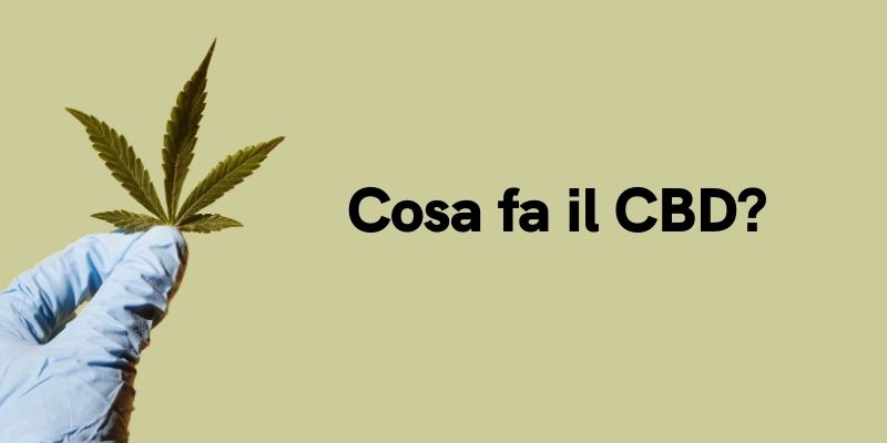 Cosa fa il CBD?