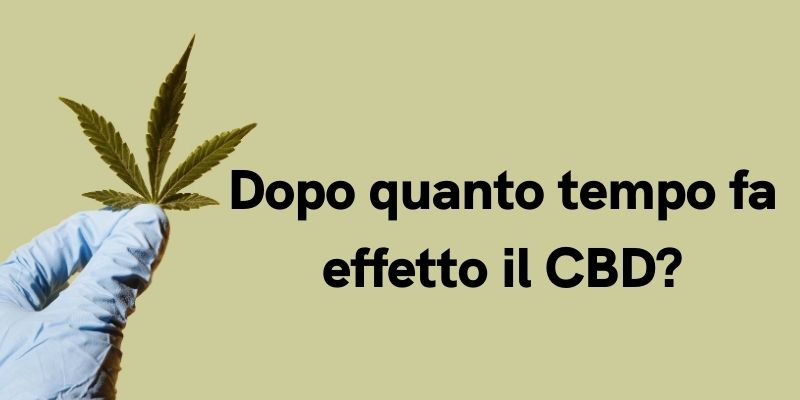 Dopo quanto tempo fa effetto il CBD?