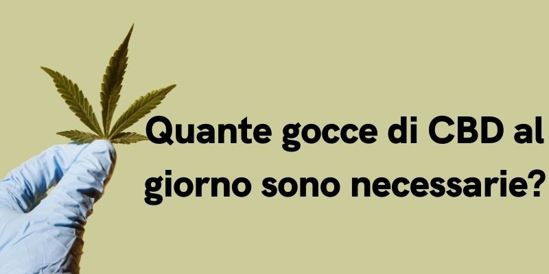 Quante gocce di CBD al giorno sono necessarie?