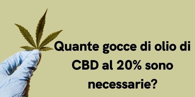 Quante gocce di olio di CBD al 20% sono necessarie?