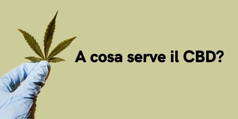 A cosa serve il CBD?