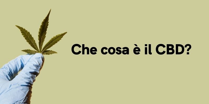 Che cosa è il CBD?