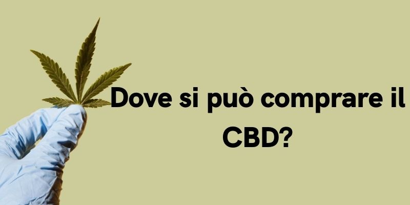 Dove si può comprare il CBD?