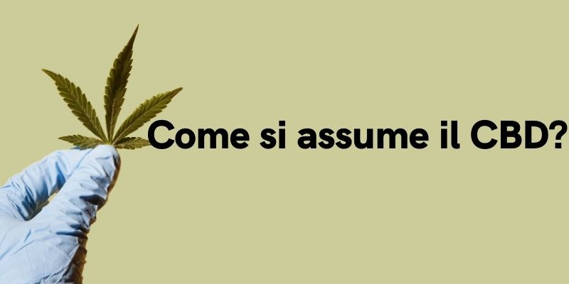 Come si assume il CBD?